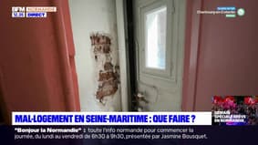 Seine-Maritime: que faire face au mal-logement? 