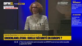 L'Otan salue l'augmentation "spectaculaire" de la production de munitions en Europe