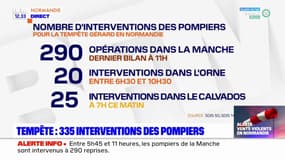 Tempête Gérard: 335 interventions des sapeurs-pompiers en Normandie