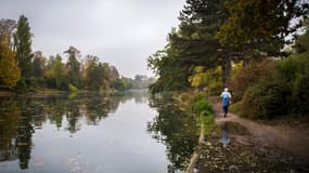 Une prostituée a été agressée dans le Bois de Boulogne dans la nuit de lundi à mardi.