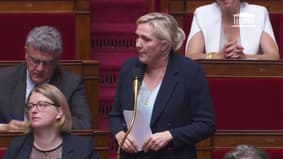 "Vous avez peur du vote, parce qu'en réalité, vous avez peur du peuple", lance Marine Le Pen à l'Assemblée 