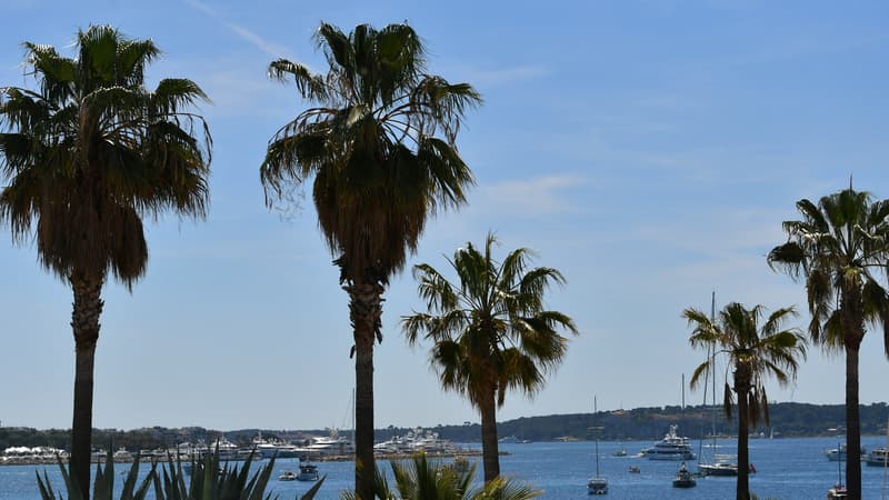 Vue de la baie de Cannes. 