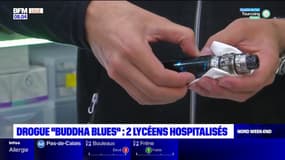 Nord: deux lycéens hospitalisés après avoir consommé "du Buddha Blues"