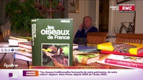 Les chasses aux oiseaux à l’aide de filets ou de cages à nouveau suspendues par le Conseil d'État.