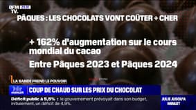 LA BANDE PREND LE POUVOIR - Coup de chaud sur les prix du chocolat