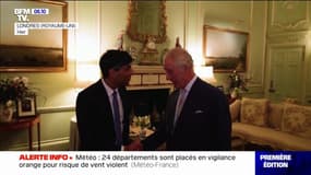 L'image de Charles III recevant Rishi Sunak à Buckingham, la première depuis l'annonce de son cancer