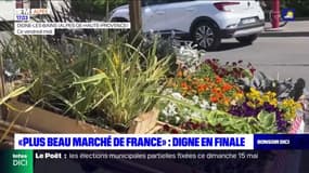 Alpes-de-Haute-Provence: Digne-les-Bains en finale du plus beau marché de France