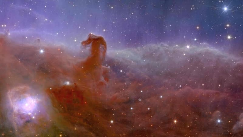 Une des premières images en couleurs du cosmos prises par le satellite Euclid, montrant la nébuleuse de la Tête de Cheval.