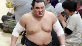 Le champion de sumo Harumafuji le 13 novembre 2017.