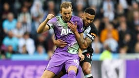 Kane et Lascelles