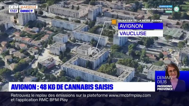 Avignon: 48 kg de cannabis saisis