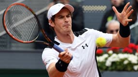 Andy Murray