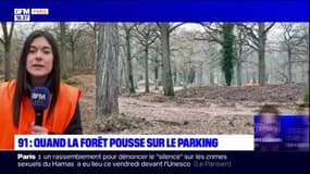 Essonne: l'ancien parking de l'hippodrome d'Évry va devenir une forêt