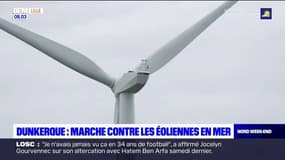 Malo-les-Bains: manifestation contre l'éolien en mer ce samedi