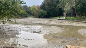 Le lac des Buttes-Chaumont, situé dans le 19e arrondissement, a été entièrement vidé pour une opération de curage avant des travaux de rénovation.