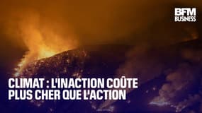 Climat : l'inaction coûte plus cher que l'action 
