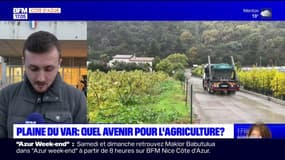 Plaine du Var: quel avenir pour l'agriculture?