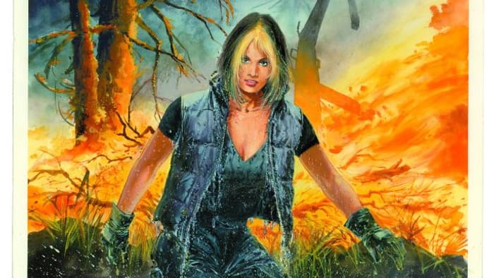 La planche du tome 14 de XIII, estimée entre 45 et 50.000 euros