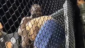 La guillotine spectaculaire du rappeur Abou Debeing, lors de sa deuxième victoire en MMA chez les professionnels