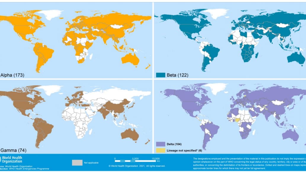 Point de l'OMS daté du 6 juillet sur la présence de quatre variants (Alpha, Beta, Gamma, Delta) dans le monde Point de l'OMS daté du 6 juillet sur la présence de quatre variants (Alpha, Beta, Gamma, Delta) dans le monde