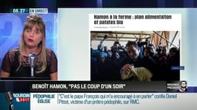 QG Bourdin 2017: Magnien président !: Un rendez-vous galant Mélenchon/Jadot