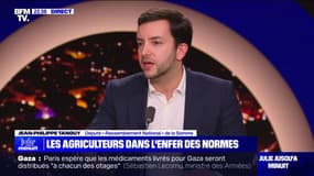 Mobilisation des agriculteurs: "L'Union européenne a appliqué des dogmes qui se sont effondrés", pour Jean-Philippe Tanguy (RN)