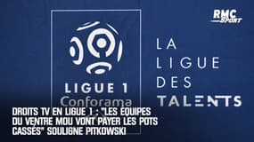 Droits TV en Ligue 1 : "Les équipes du ventre mou vont payer les pots cassés" souligne Pitkowski