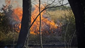 Un "méga feu" frappe le Gard, apogée d'une journée marquée par de multiples incendies