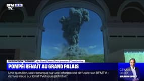 Un aperçu de l'exposition Pompéi au Grand Palais qui ouvre ce mercredi