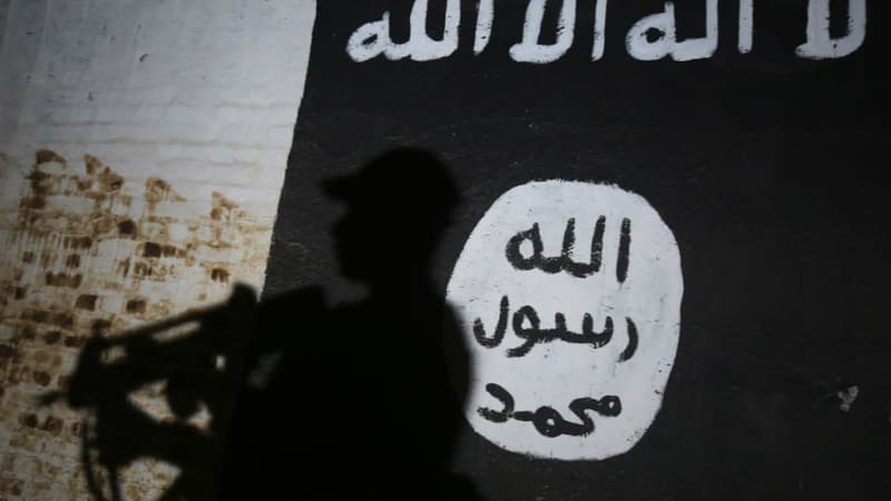 Le drapeau de Daesh (illustration).
