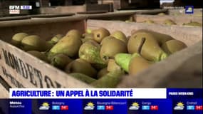 Yvelines: après l'épisode de gel d'avril, des agriculteurs lancent un appel à la solidarité