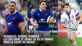 Picamoles, Dupont, Ntamack ... : Les 3es ligne et demis du XV de France pour la Coupe du Monde