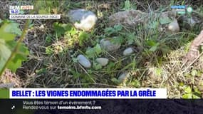 JT du Sud du vendredi 24 mai