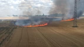 Incendie le long de l'autoroute A10 à Beaugency - Témoins BFMTV