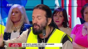 "Nous ne parlons pas au nom du peuple" - Francis Lalanne