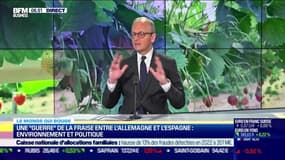 Benaouda Abdeddaïm : Une "guerre" de la fraise entre l'Allemagne et l'Espagne, environnement et politique - 06/06