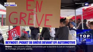 Ain: les salariés d'EFI Automotive en grève à Beynost