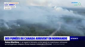Normandie: des fumées venues du Canada, peu de risques sanitaires