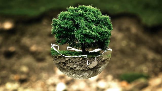Les cadres pensent que croissance et développement durable vont bien de pair