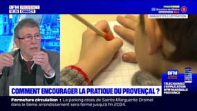 Quel enseignement du Provençal dans les établissements scolaires? 