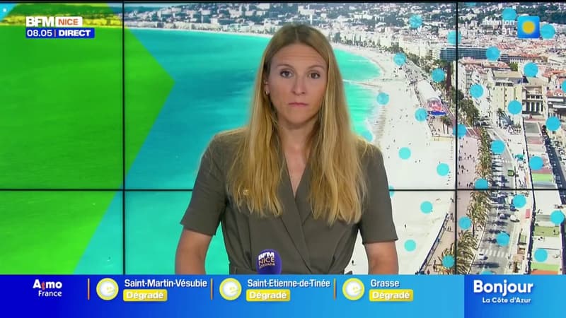 Petite parenthèse enchantée pour les toutous sur la Côte d'Azur