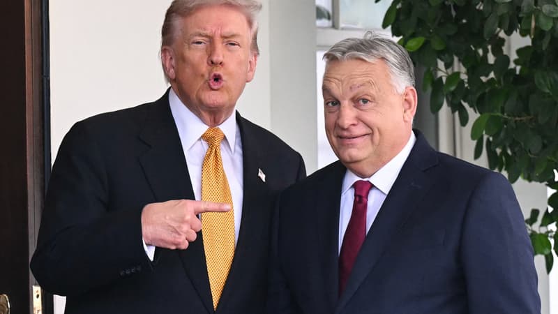 "C'est un ami, un battant": à l'approche des élections en Hongrie, Donald Trump réaffirme son soutien "total et inconditionnel" à Viktor Orban