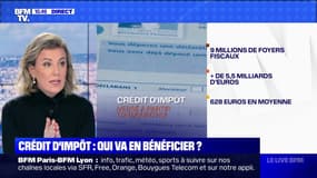 Crédit d'impôt : qui va en bénéficier ? - 15/01