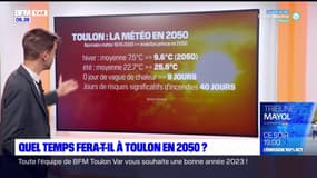 Températures en hausse, risque d'incendies: quel temps fera-t-il à Toulon en 2050?