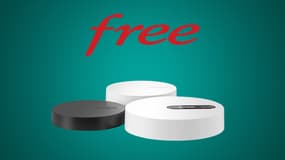 Ne cherchez plus, Free défie la concurrence avec cette box mythique à petit prix 