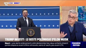 "C'est plus maladroit que volontaire": le biographe français d'Elon Musk réagit au geste polémique du milliardaire