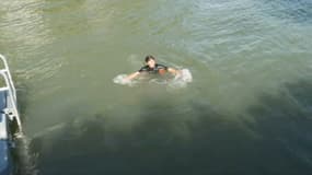 Suivez en direct la baignade d'Anne Hidalgo dans la Seine, à 9 jours des JO