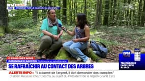 C beau chez nous: se rafraîchir sous les arbres de la forêt de Schweighouse-Thann 