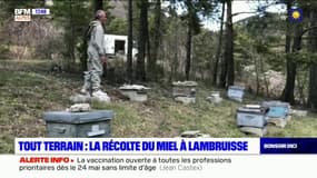 Tout Terrain: la récolte du miel à Lambruisse