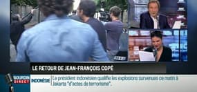 Apolline de Malherbe: Jean-François Copé, de retour sur la scène politique - 14/01